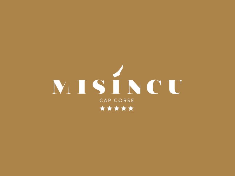 portfolio01-[800px]-MISINCU